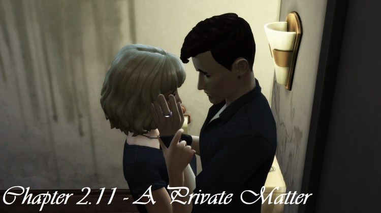 Chapter 2.11 – A Private&nbsp;Matter