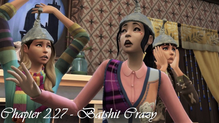 Chapter 2.27 – Batshit&nbsp;Crazy