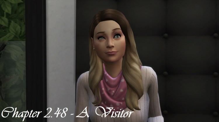 Chapter 2.48 – A&nbsp;Visitor