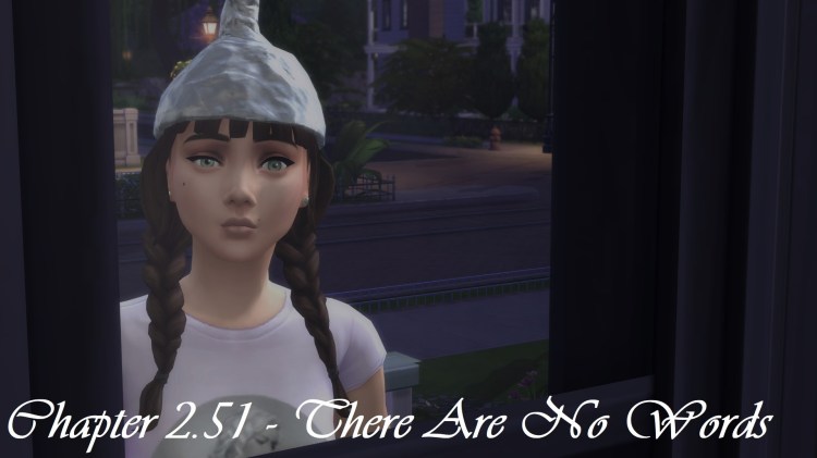 Chapter 2.51 – There Are No&nbsp;Words