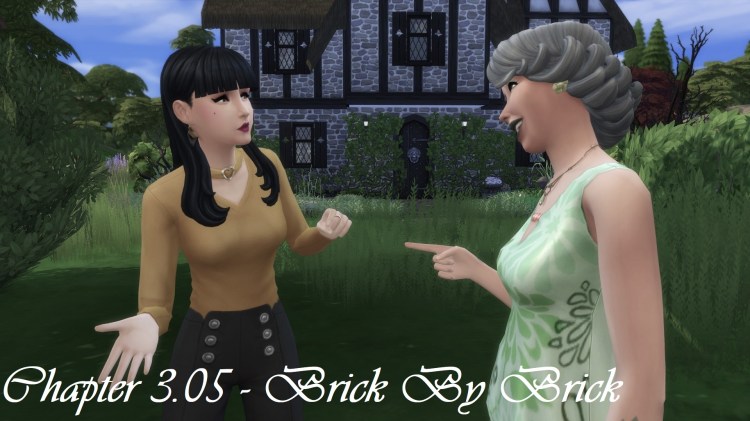Chapter 3.05 – Brick by&nbsp;Brick