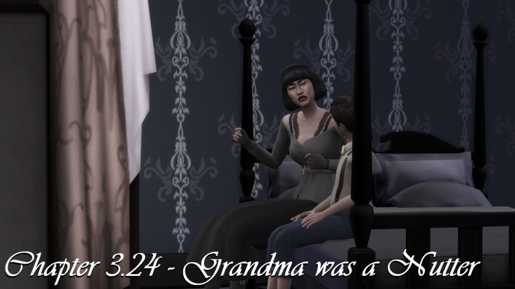 Chapter 3.24 – Grandma Was A&nbsp;Nutter