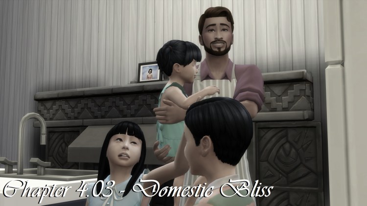 Chapter 4.03 – Domestic&nbsp;Bliss