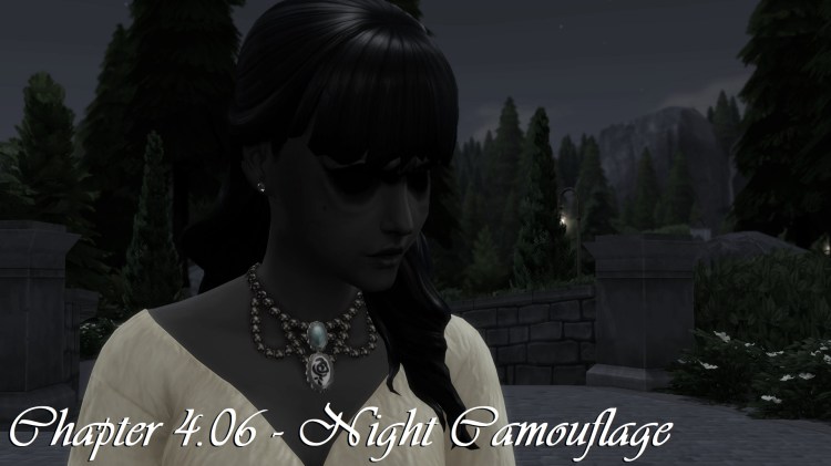 Chapter 4.06 – Night&nbsp;Camouflage