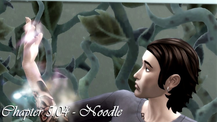 Chapter 5.04 –&nbsp;Noodle